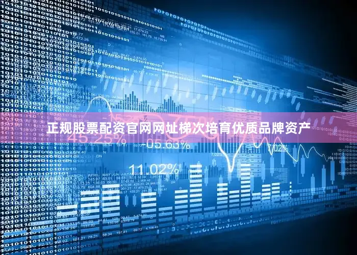 正规股票配资官网网址梯次培育优质品牌资产