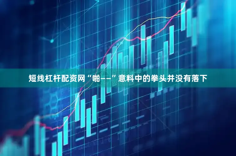 短线杠杆配资网“啪——”意料中的拳头并没有落下