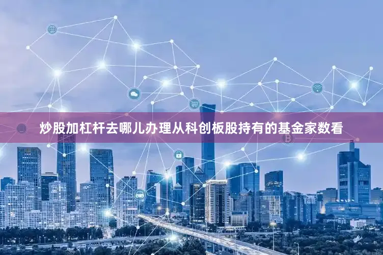 炒股加杠杆去哪儿办理从科创板股持有的基金家数看