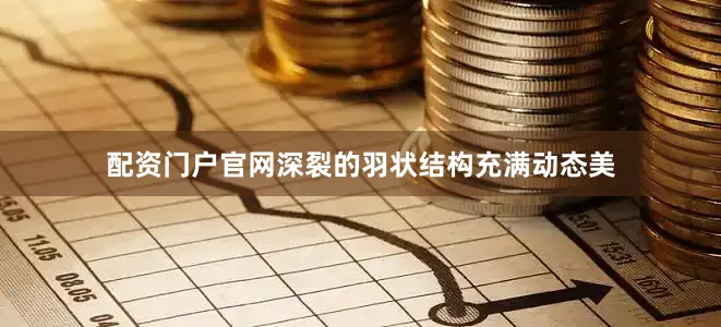 配资门户官网深裂的羽状结构充满动态美