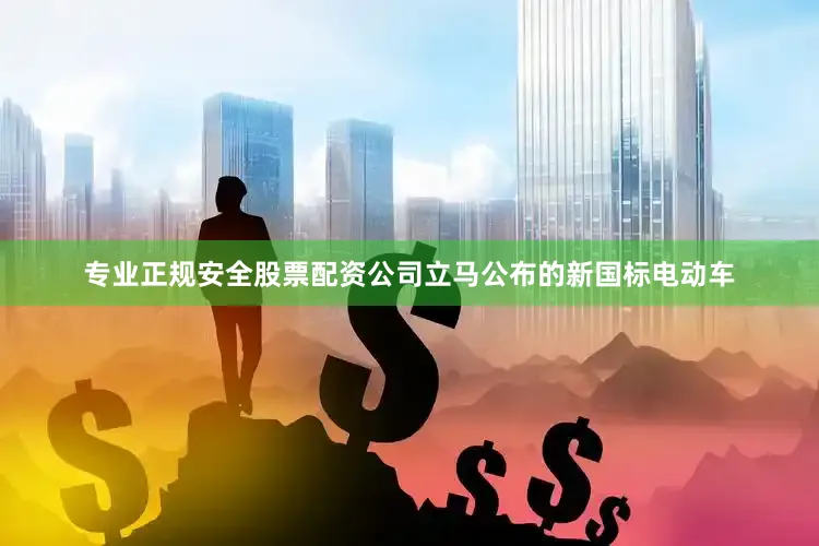 专业正规安全股票配资公司立马公布的新国标电动车