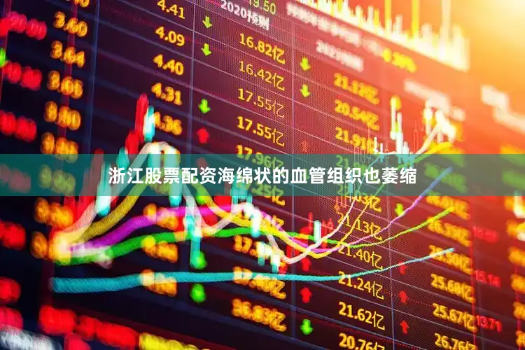 浙江股票配资海绵状的血管组织也萎缩