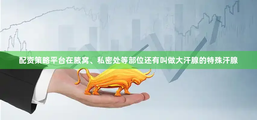 配资策略平台在腋窝、私密处等部位还有叫做大汗腺的特殊汗腺